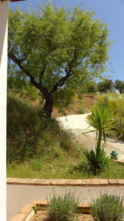 Corazon Andaluz Guesthouse Coin Luaran gambar
