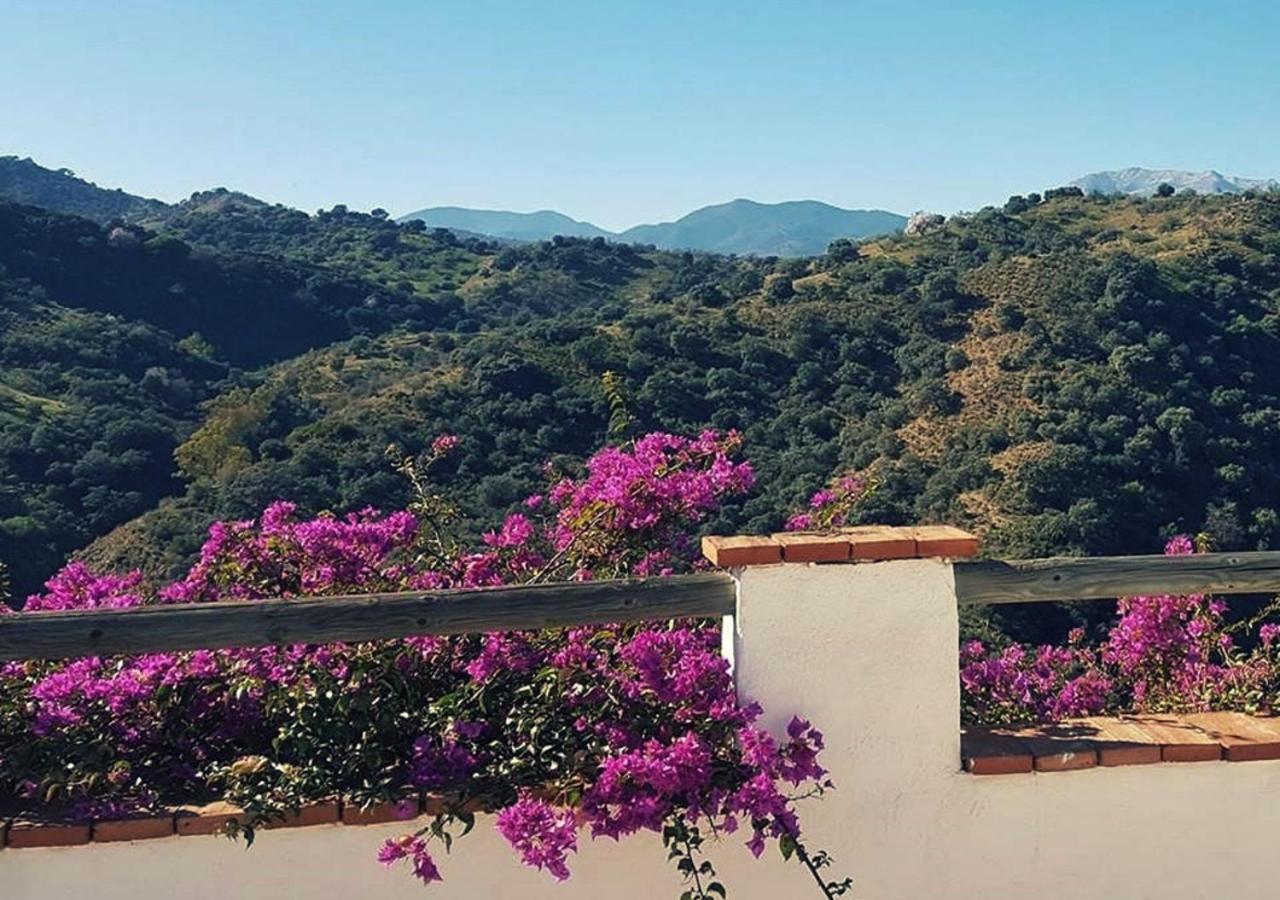 Corazon Andaluz Guesthouse Coin Luaran gambar